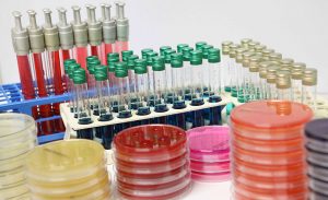 provette per analisi di laboratorio