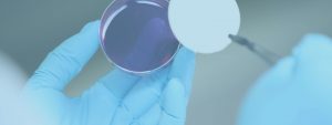 analisi di laboratorio a torino