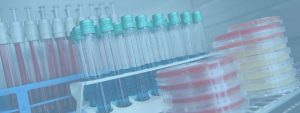 analisi per il settore alimentare